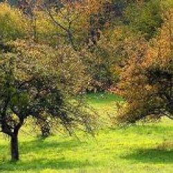 Gestión de residuos Asturias Gestión de residuos Asturias